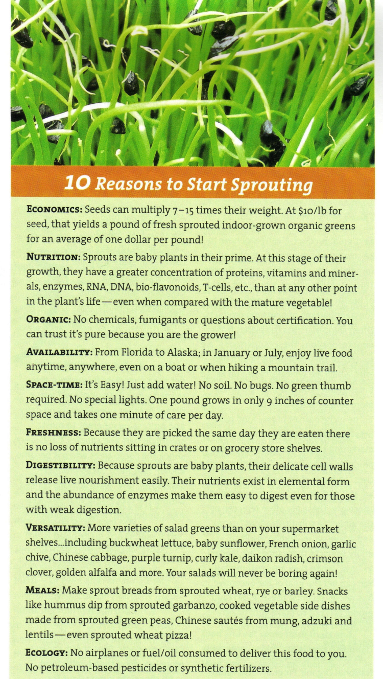 10 reasons to start sprouting